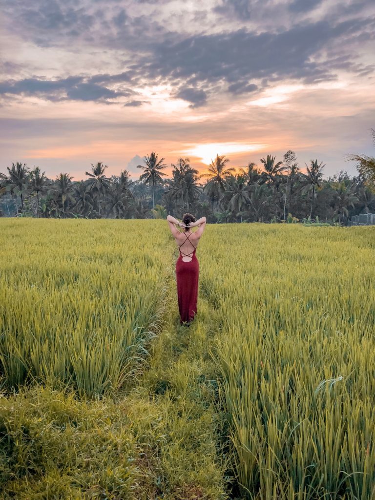 Girl in a red dress watching the sunrise in a balinese ricefield