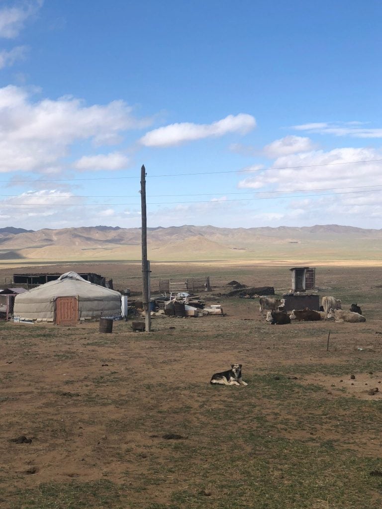Mongolian yurt in the valley 