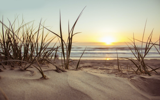 sunset at the beach